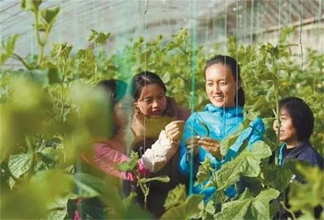 清华女博士毕业当农民：种地11年、年收入破百万，父母已认不出