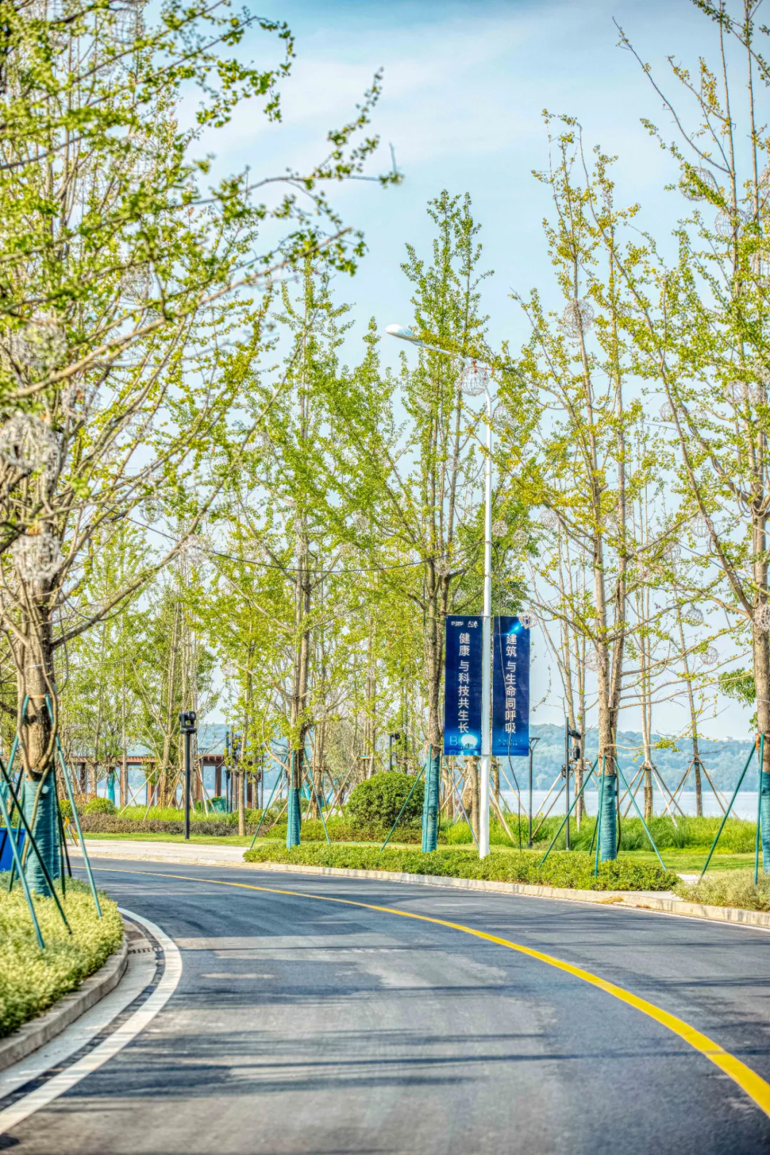 一线270°临湖观景，武汉健康科技住宅的“天花板”