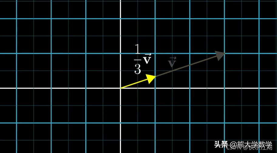 「线性代数」向量究竟是什么