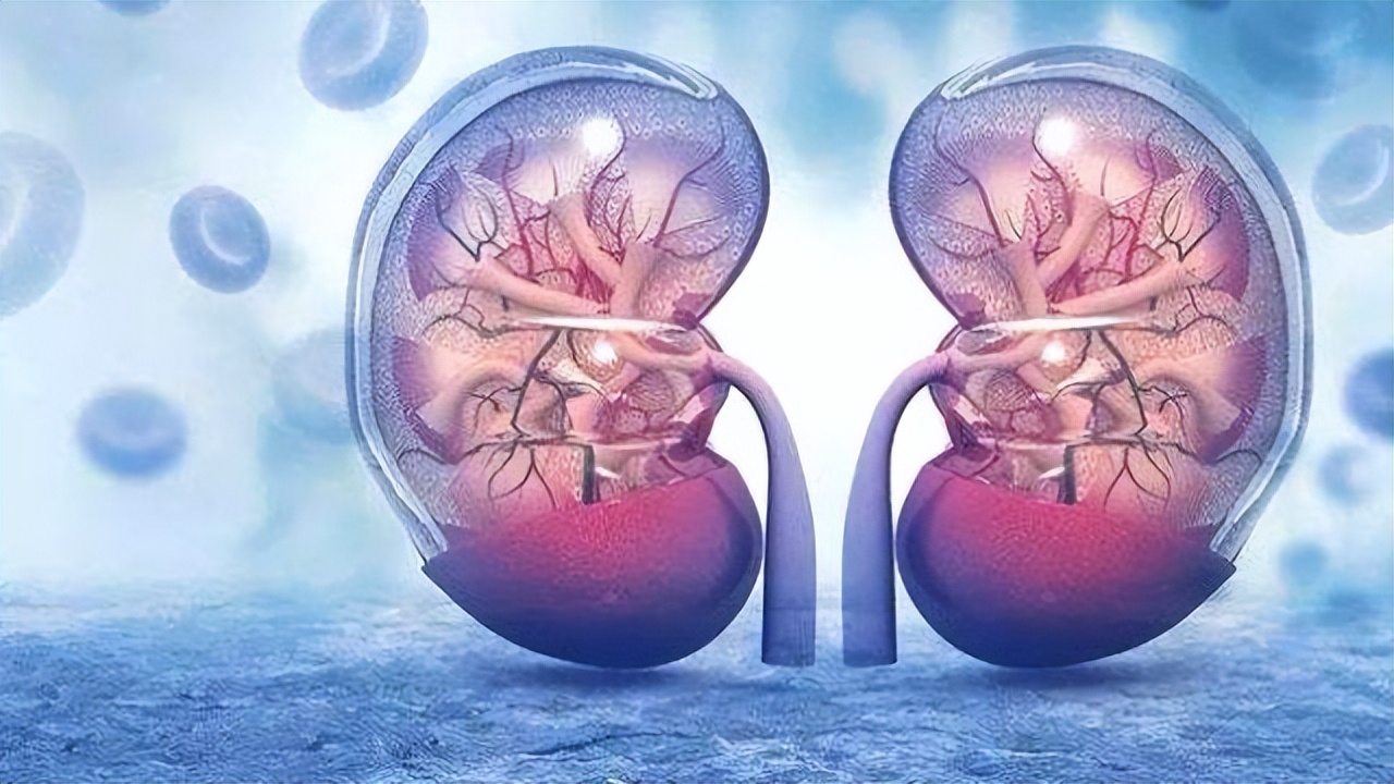 3种中药已被国家药典禁用,不仅有肾毒性还会致癌,别以为是好药