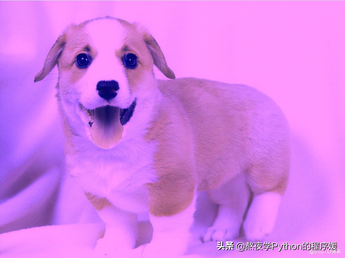 ![Python 细聊一下可以媲美 PS 的 PIL 图片处理库