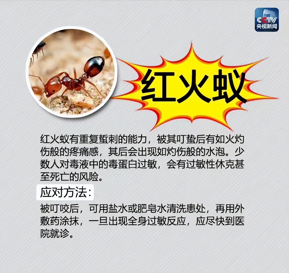 夏季蚊虫出没,这份最全防虫手册及应对方法请收好!