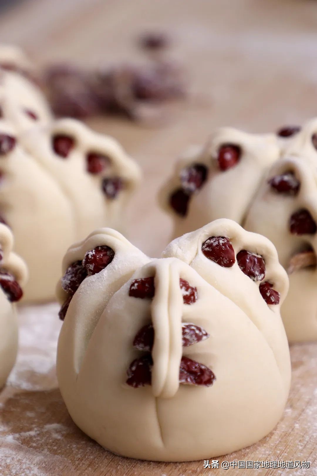 中国第一海鲜大省的这座城，让国人实现顶级生蚝自由