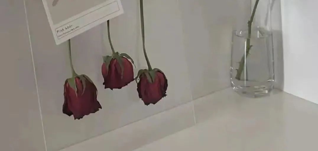 寒假也不只是吃喝玩乐，悄悄变好惊艳身边人