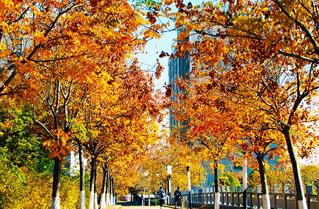 徐州幼儿师范高等专科学校2022年面向海内外招聘师资启事