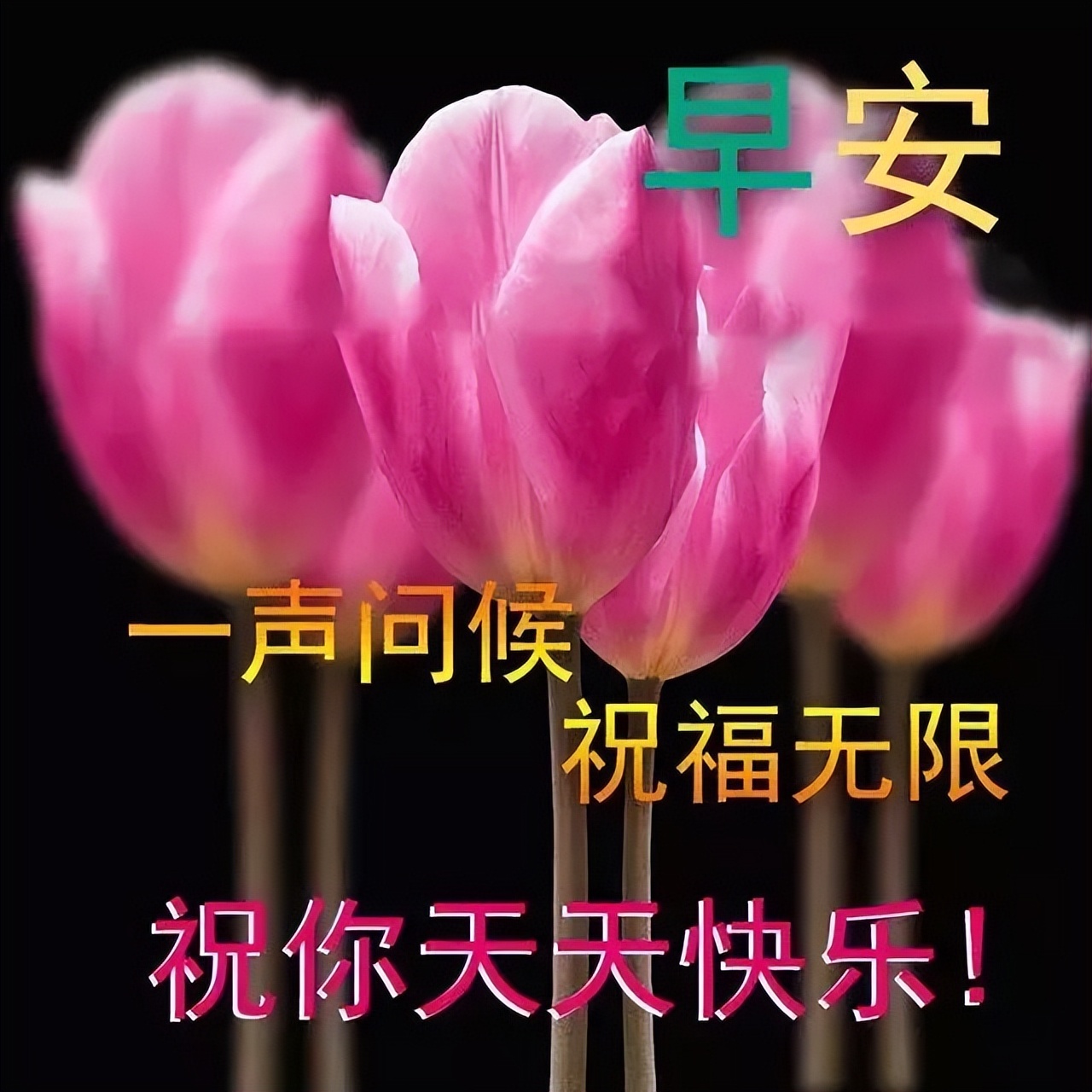 五月微信群发早上好问候亲友短句，周二早安，吉祥如意、健康快乐图片