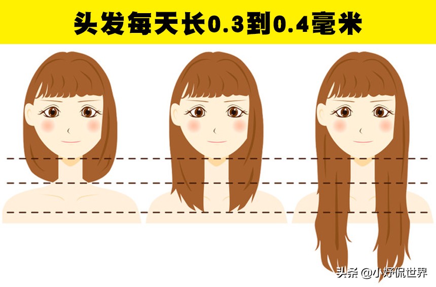 关于人类头发的8个你不知道的冷知识
