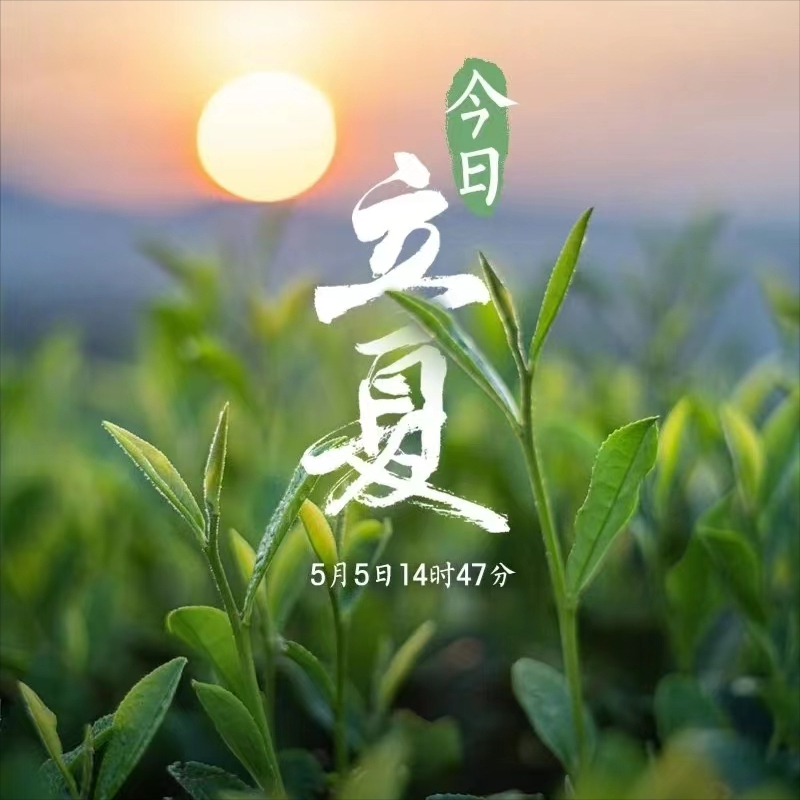 文案丨关于立夏的优美句子摘抄丨优质文案