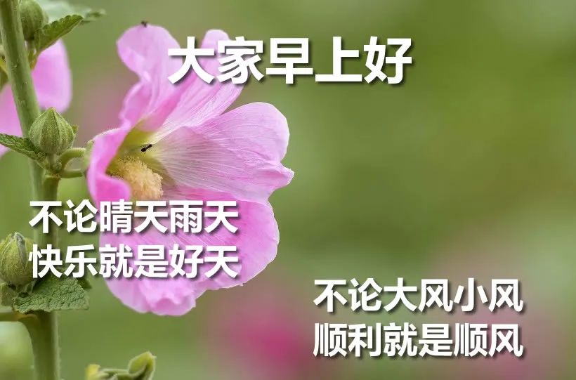 周六新版早上好图片漂亮带字动图，又是快乐早晨，送你健康平安图片