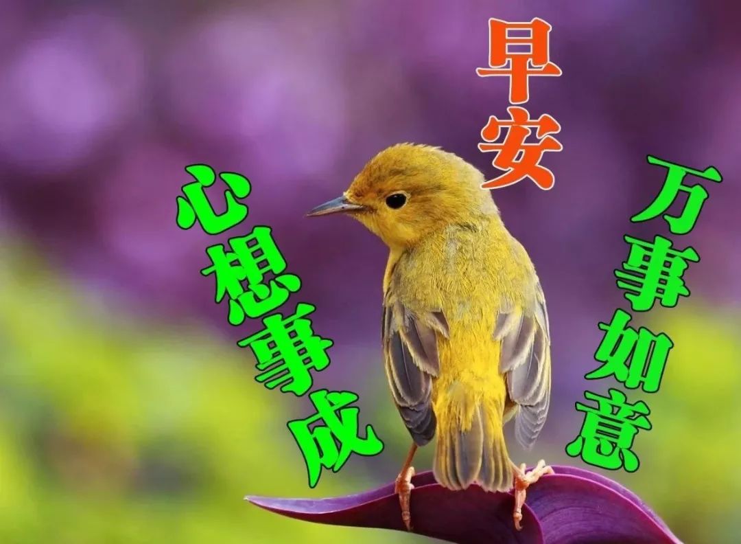 漂亮早上好图片 好看早上好表情包大全 人生知足，凡事都幸福图片