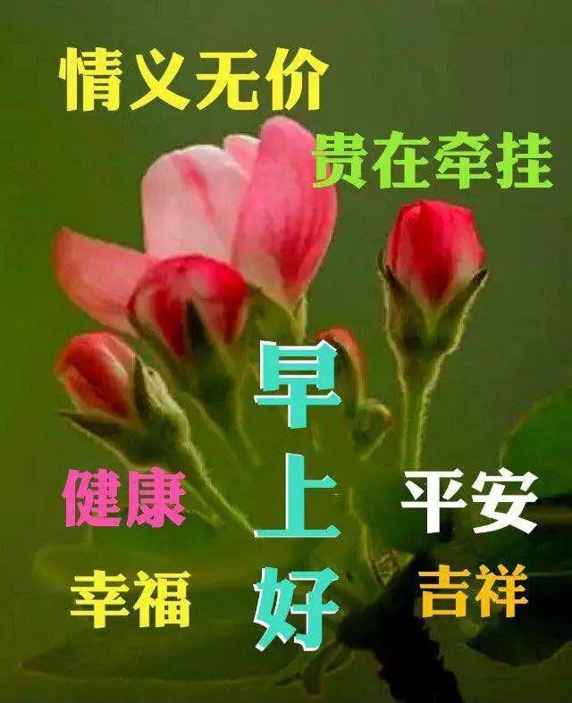 朋友圈早上好祝福语 早上好问候语及关心话 问候是一种甜蜜的牵挂图片