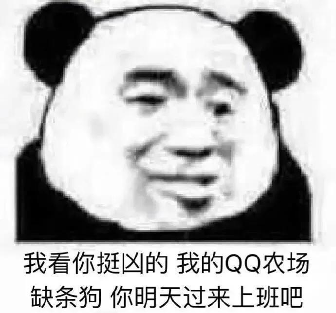 每天都上班，素质低点也正常