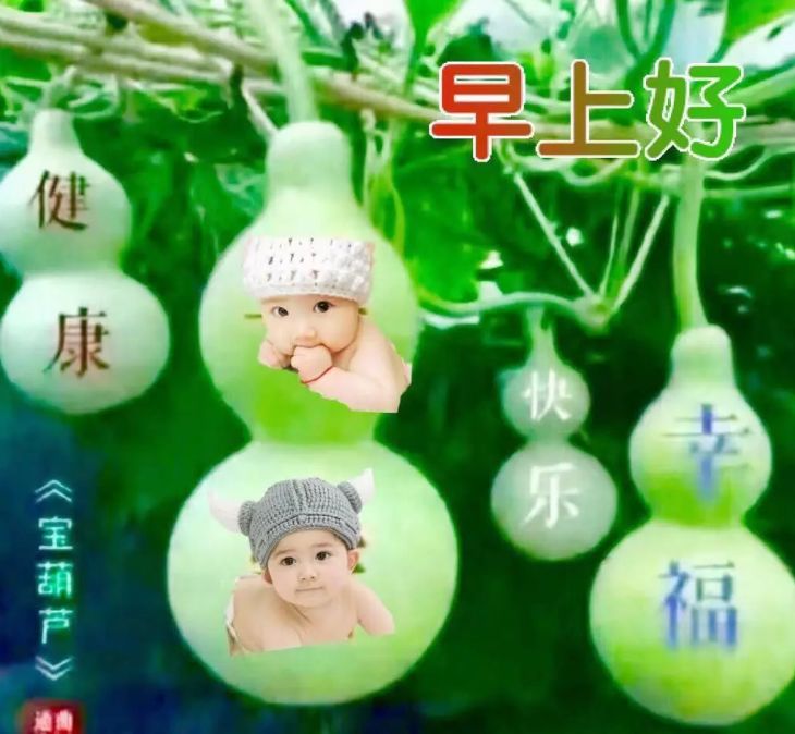 今日早上好表情包图片动态带鲜花 以积极的心态生活 发现美好的东西图片