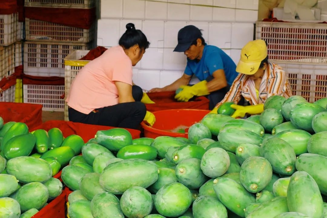 在这里我毫不焦虑，还实现了水果自由