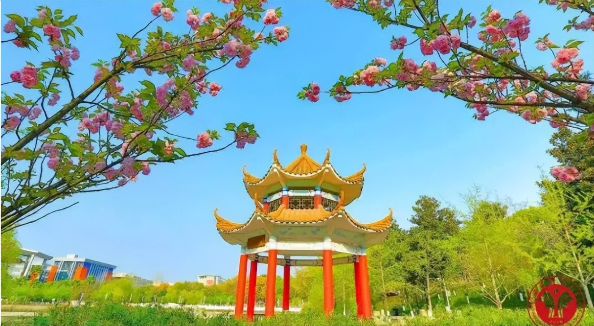 权威发布 ！西南政法大学2022年本科招生章程