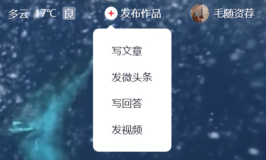 头条文章编辑器在哪(编辑头条文章什么意思)