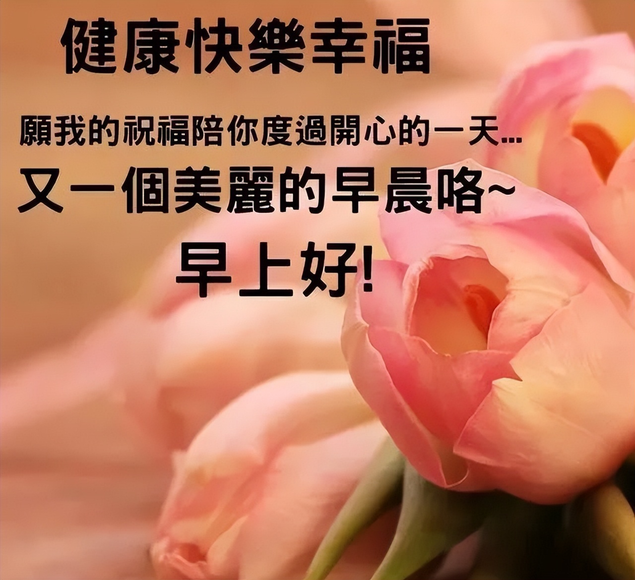 早上好漂亮动态表情图片大全 晨起一声早，事事皆美好图片
