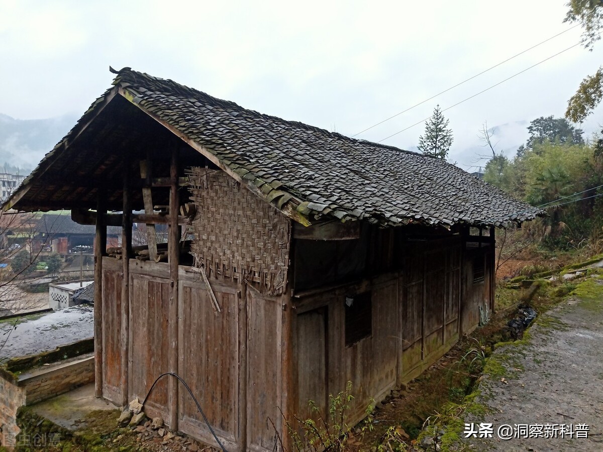 乡村小楼半夜“闹鬼”，全村上下人心惶惶，专家前来揭开真相