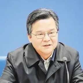 两会召开！这56位人大代表、政协委员进京履职，全部来自重庆同一大学！