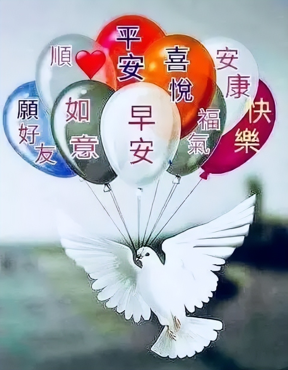 早安朋友圈动态表情图片 鲜花早上好图片带字 感恩的人才能珍惜幸福图片