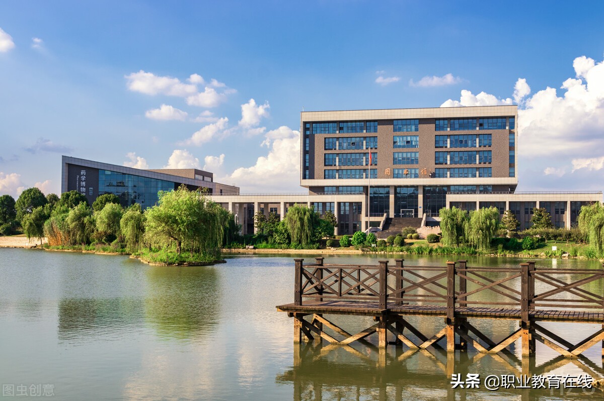 这103所公办大学是新一线城市的最好大学，确实是很好的选择