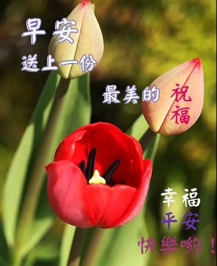 2022最美朋友圈精选带字早上好问候图片分享，懂得知足就会幸福图片