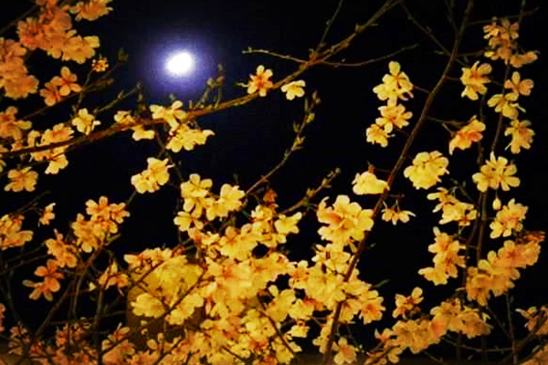 苏轼作千古名篇《春宵》，劝人珍惜良辰美景，结果首句就被用污了