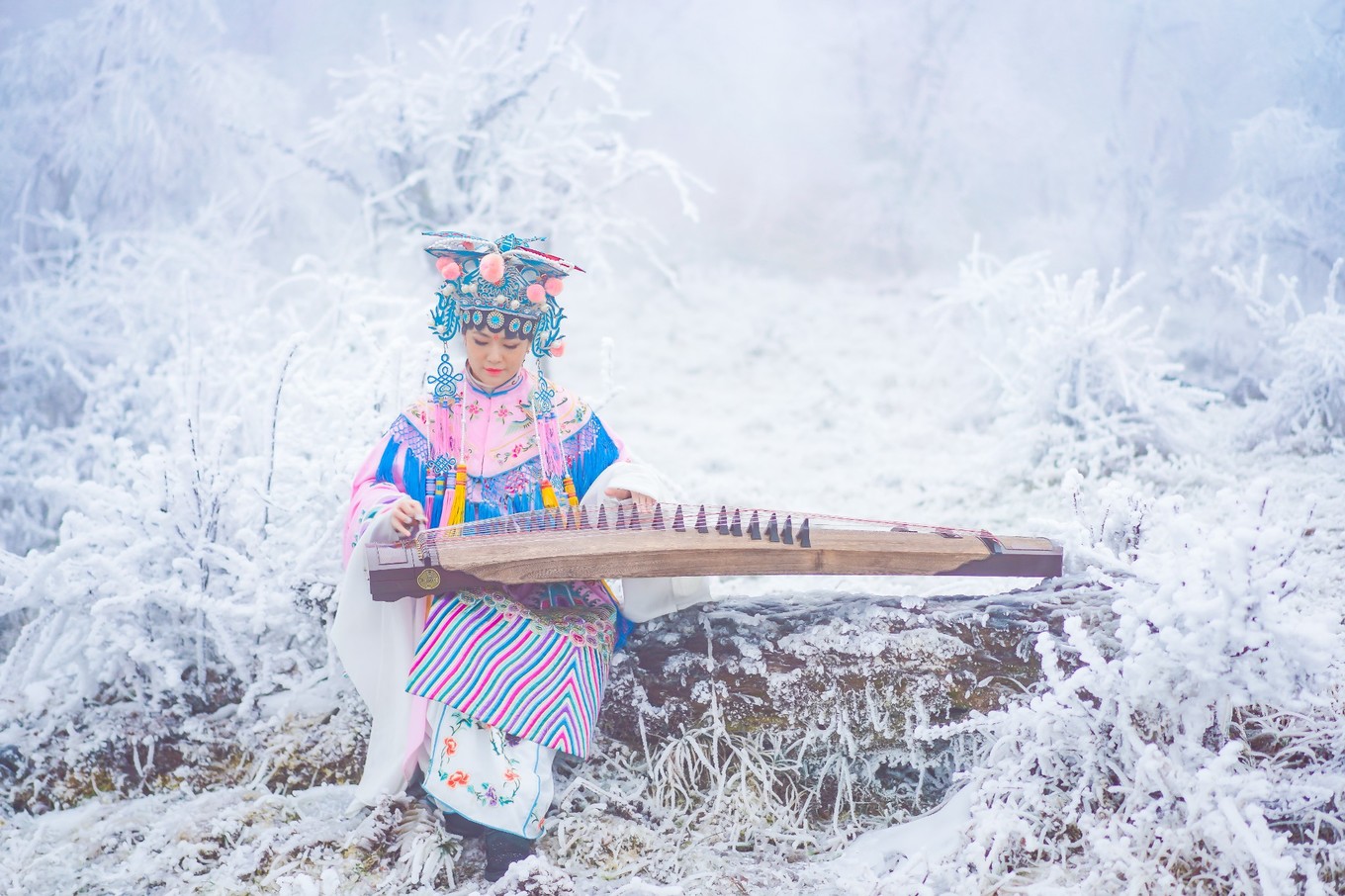 云海之上，贡嘎之巅，王岗坪冰雪之旅
