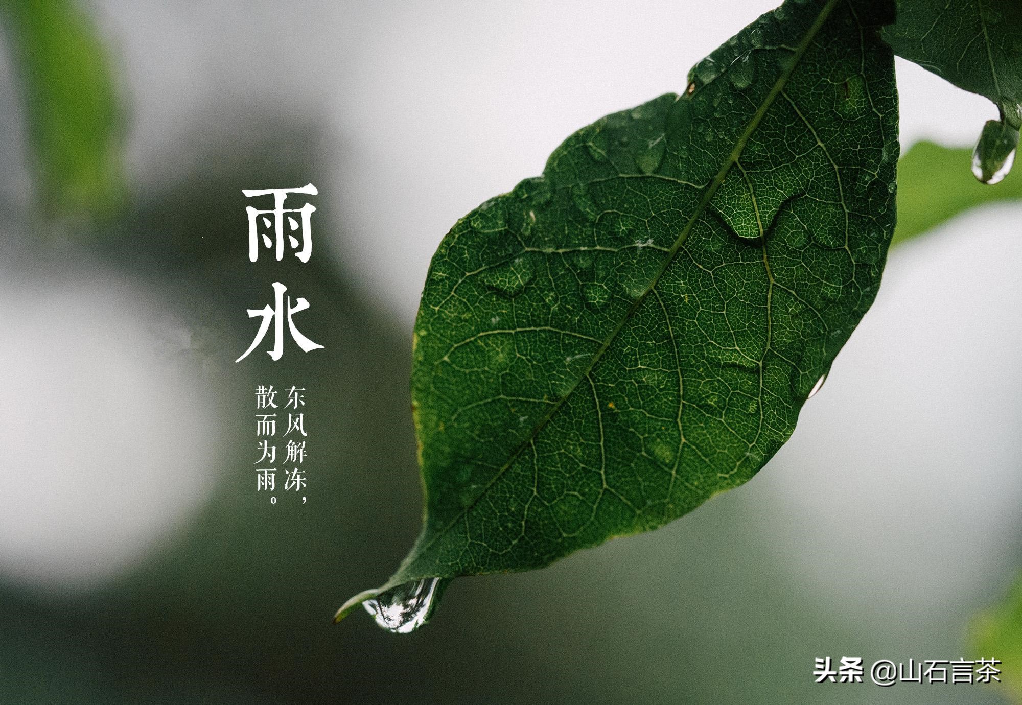 雨水时节品茶香，细雨如丝润心田
