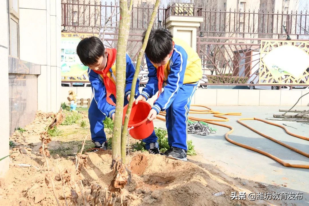 周播报 | 潍坊校园新闻（03.07—03.13）