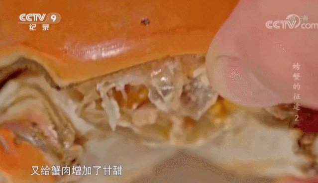 生活在浙江到底有多爽？