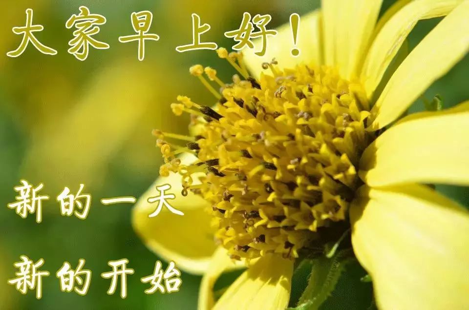 2022最新早上好短信温馨祝福语录集锦 笑着去面对，不要去埋怨图片