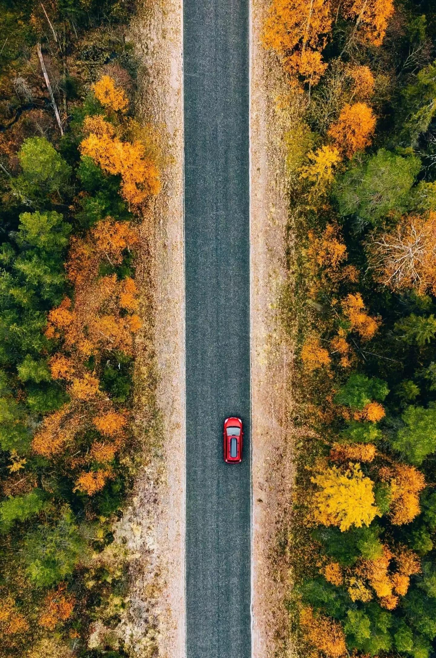 散文诗：静谧的芬陀利花