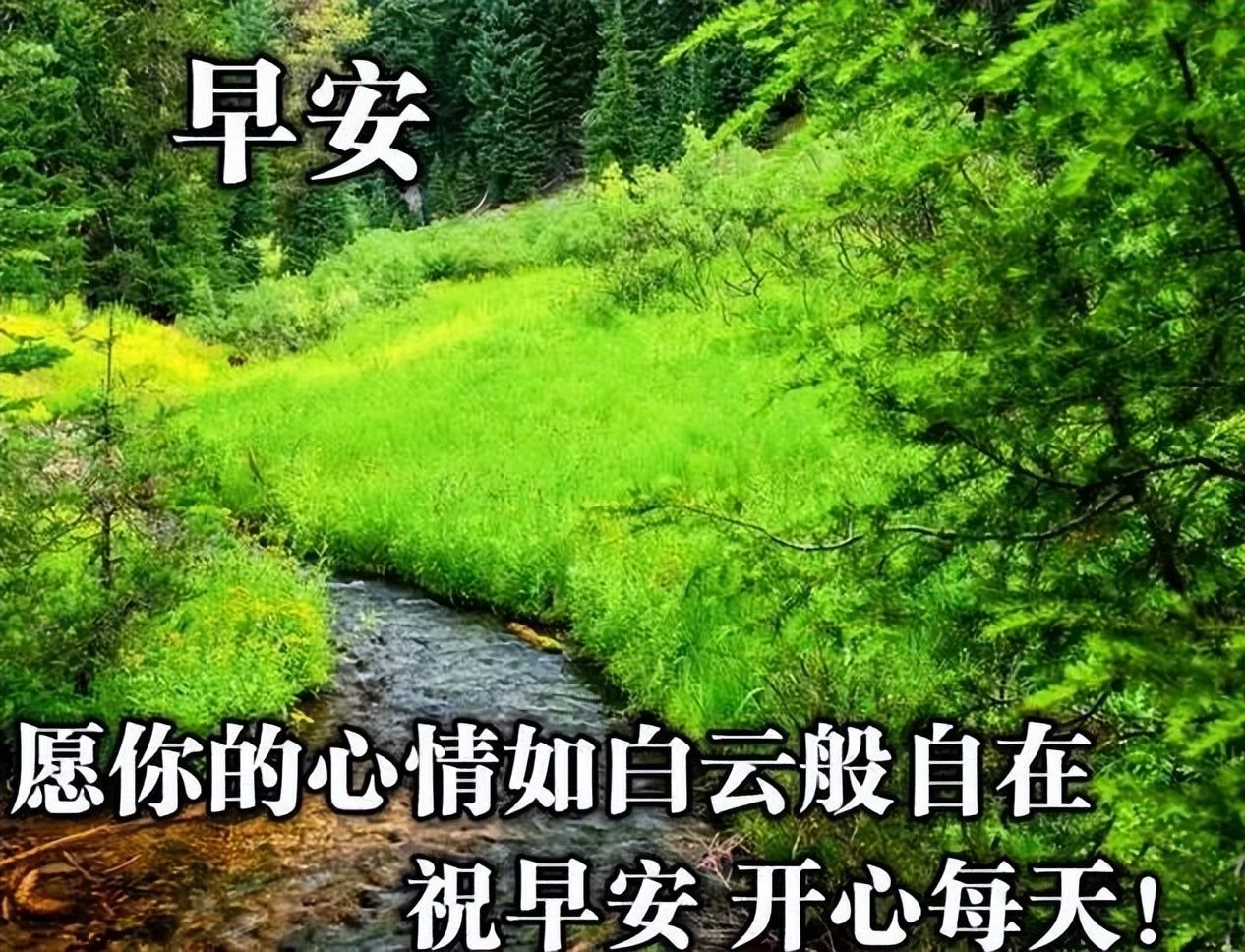 星期三清早祝福大家早上好的问候语美图 保持好心情、好运伴你行图片