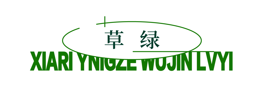 夏日迎泽，行走在无尽绿意中