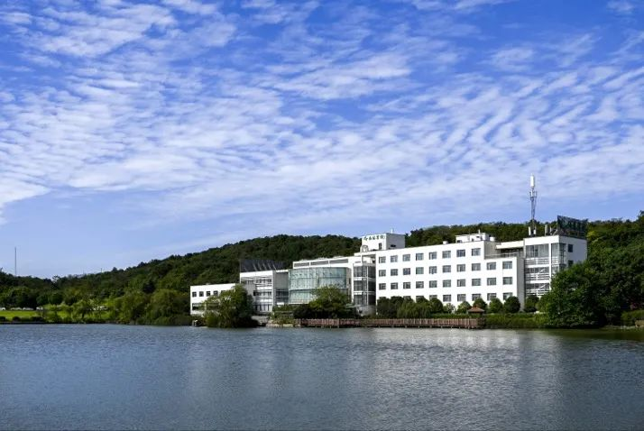 央视报道，获国家大奖！这3位教授任教于同所大学，近日均获江苏省表彰！