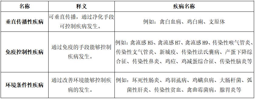 2022年6月大規(guī)模蛋雞養(yǎng)殖中蛋雞疾病總結(jié)與7月預(yù)警