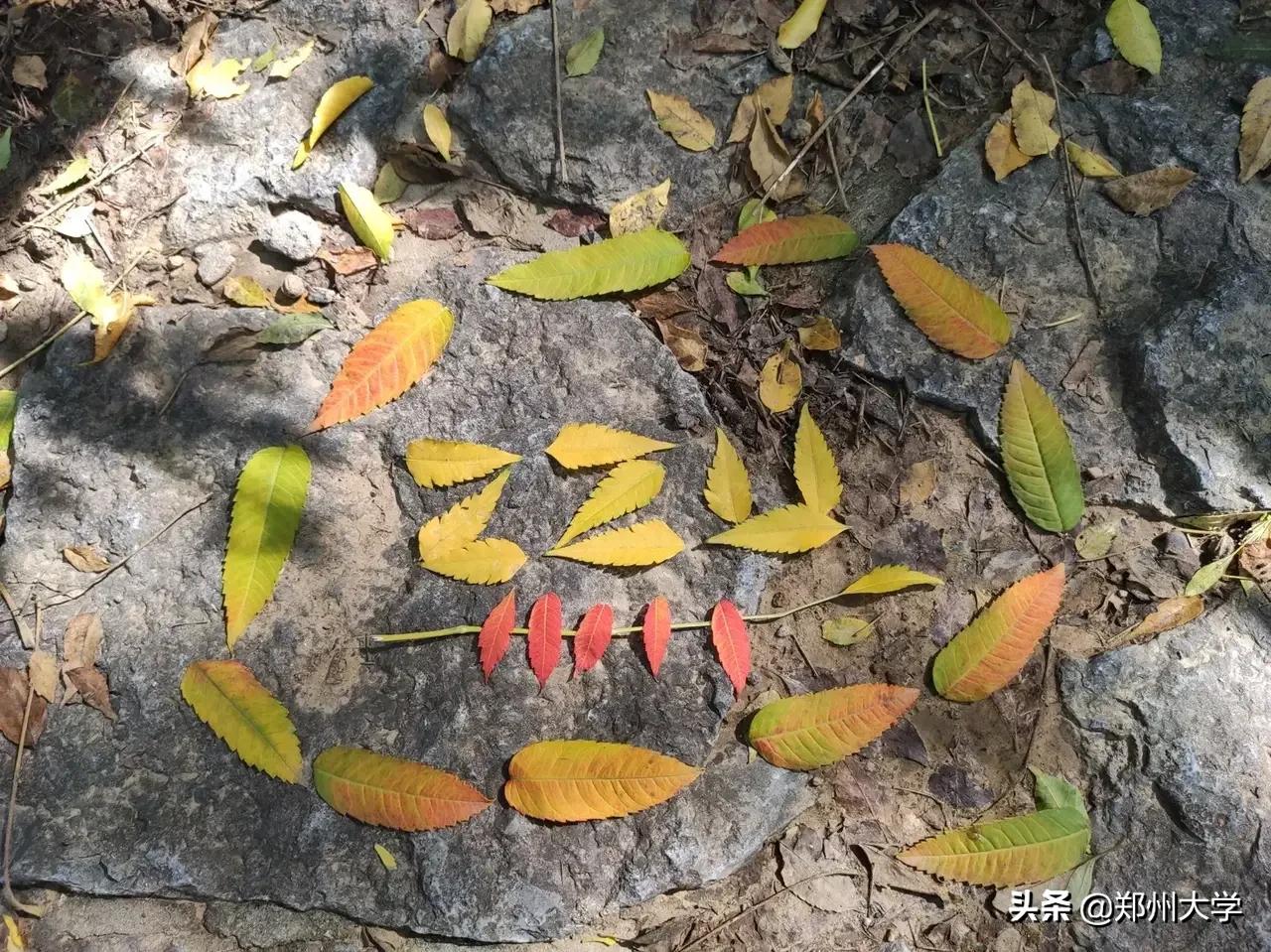 与你，郑大的日日夜夜…