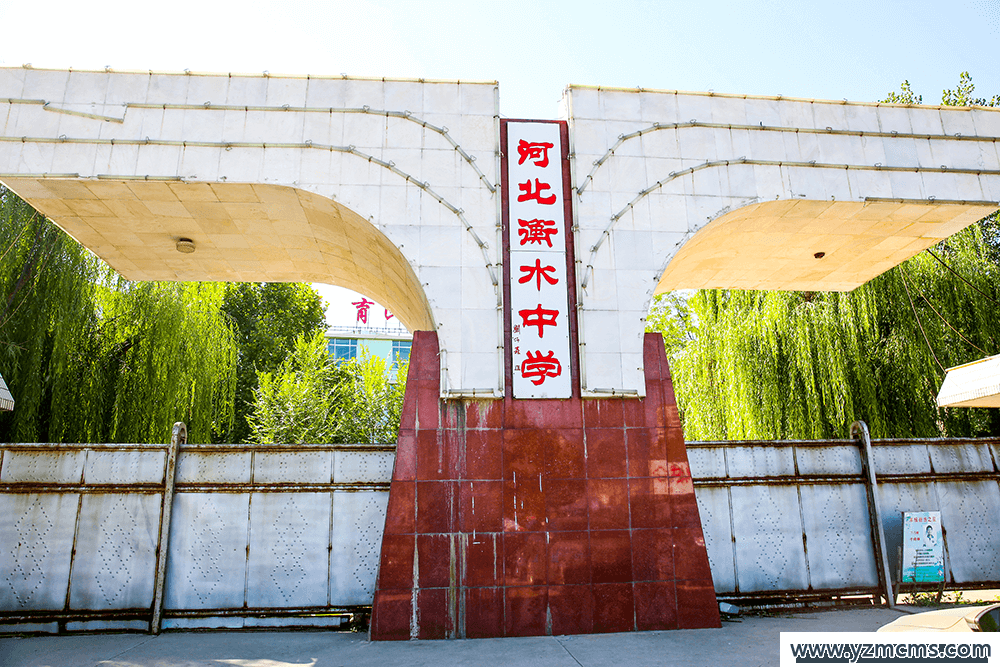 衡水桃城中学调查结果出炉，“衡水系”中学背后现四大集团