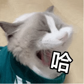 可爱动图表情，熬最晚的夜，敷最贵的面膜