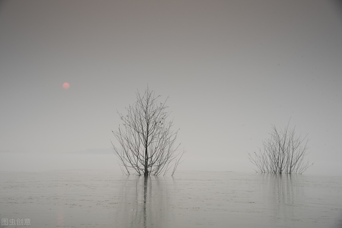 「破镜重圆」的言情好文推荐！甜中带虐，相爱的人，终会相守