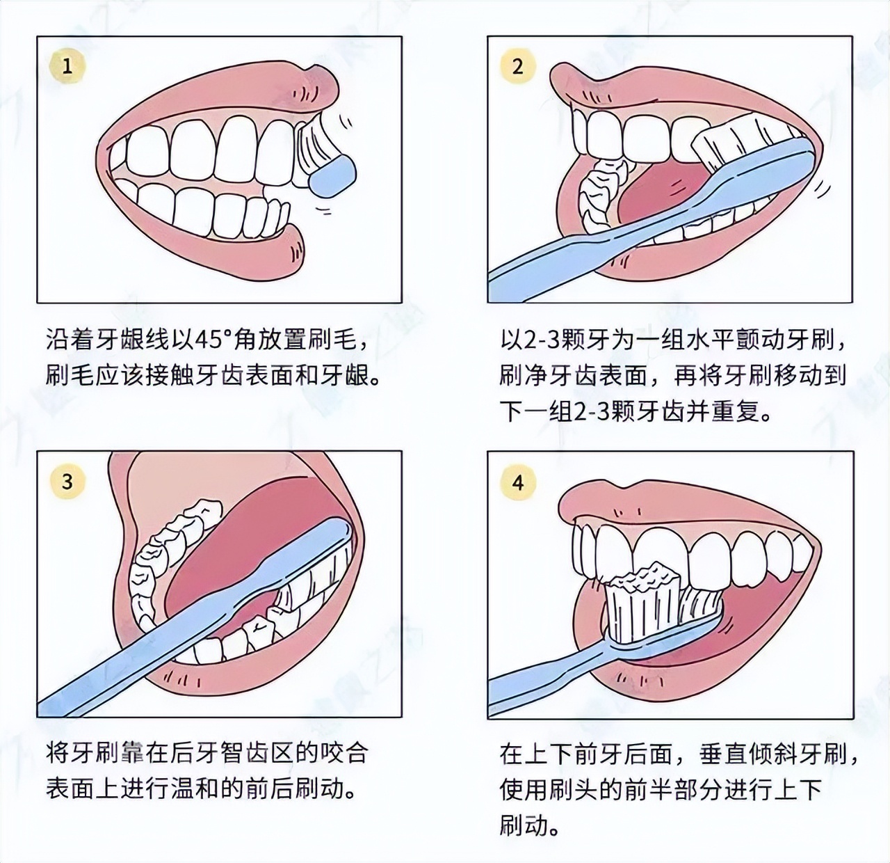 电动牙刷真的有用吗？和普通牙刷有什么不同？别再被忽悠了