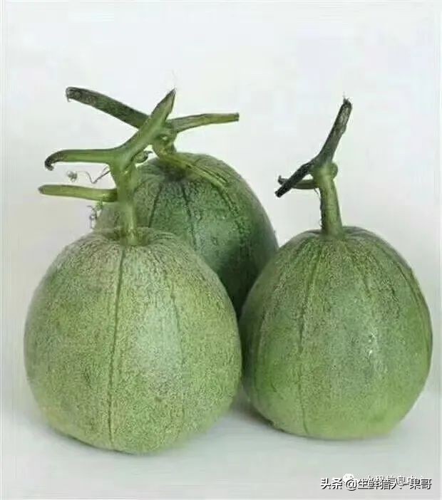 哈密瓜、蜜瓜、网纹瓜、香瓜、羊角蜜傻傻分不清？看完就明白了
