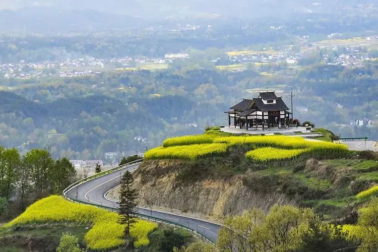 醉美拍點(diǎn)推薦 | 壯美！陜西南鄭油菜花海登陸央視新聞“春天里的中國”