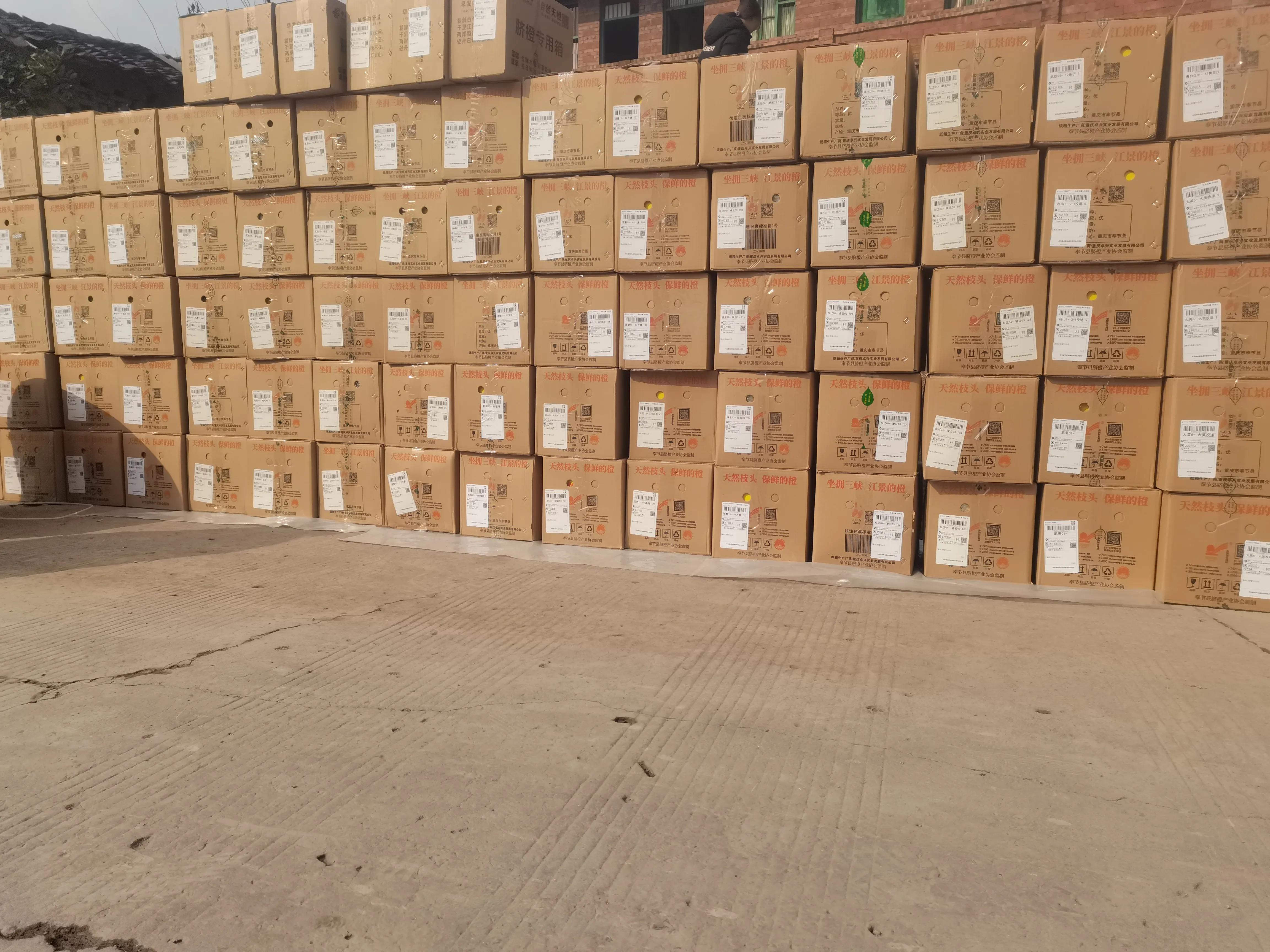 我若是村干部，会牢记农村12类数据，用5步棋去发展新型集体经济