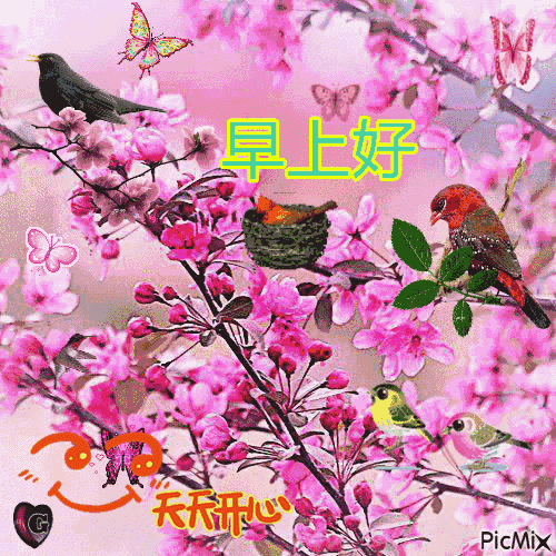 清早问候朋友早上好暖心祝福语句子 愿你事事顺心，快乐相随图片