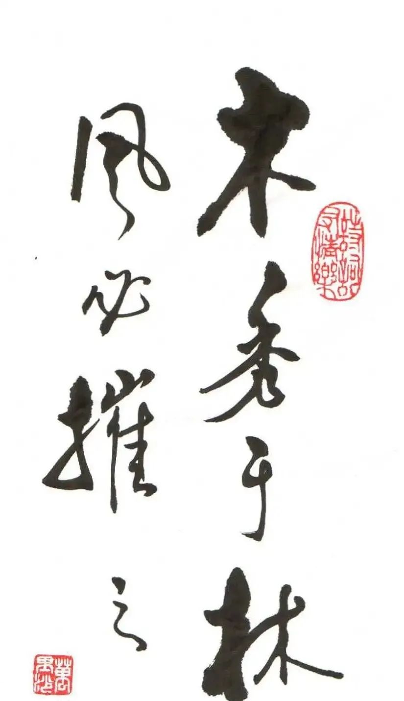 低调做人,收敛锋芒,木秀于林,风必摧之