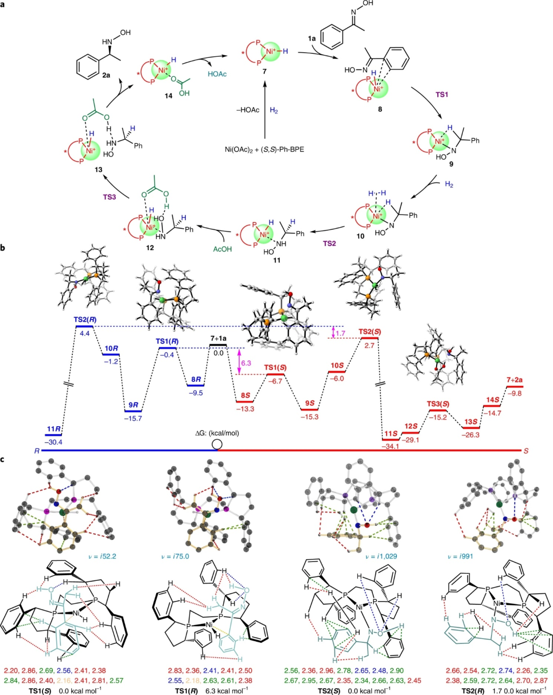 Ni催化，张万斌团队最新Nature Chemistry