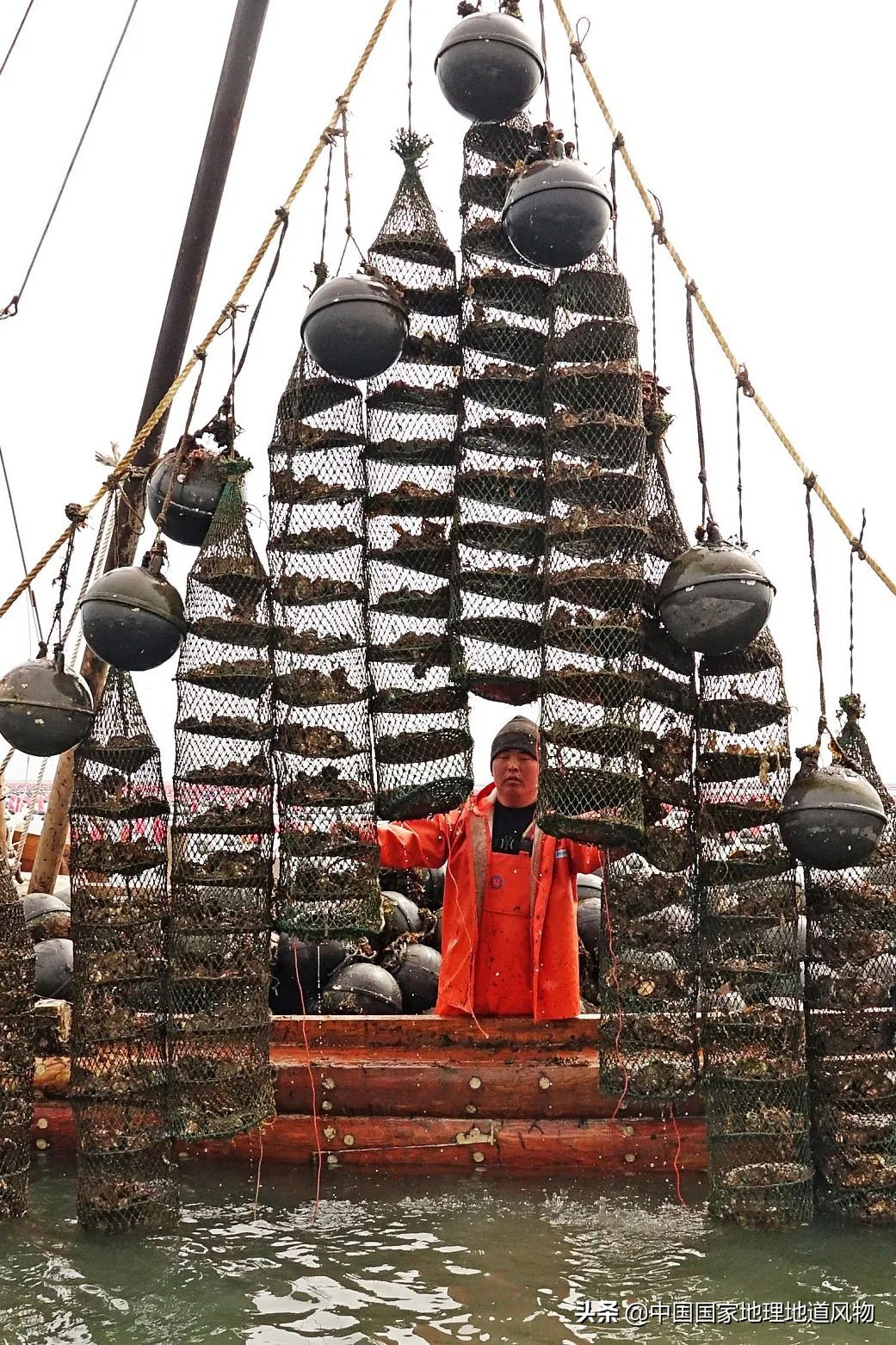 辽宁，被忽略的海鲜大省