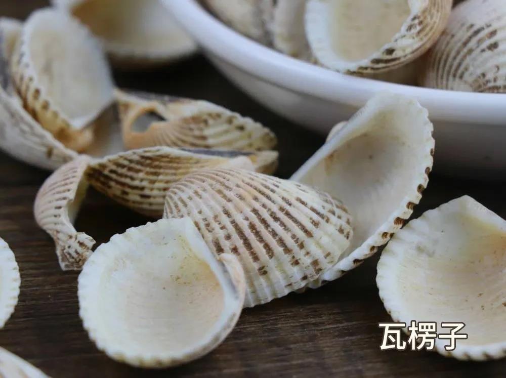 煅瓦楞子的功效与作用（瓦楞子的功能主治）